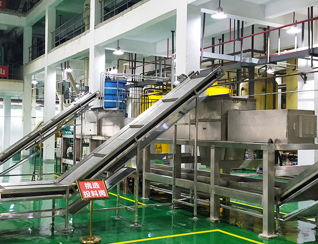 Palm oil production line